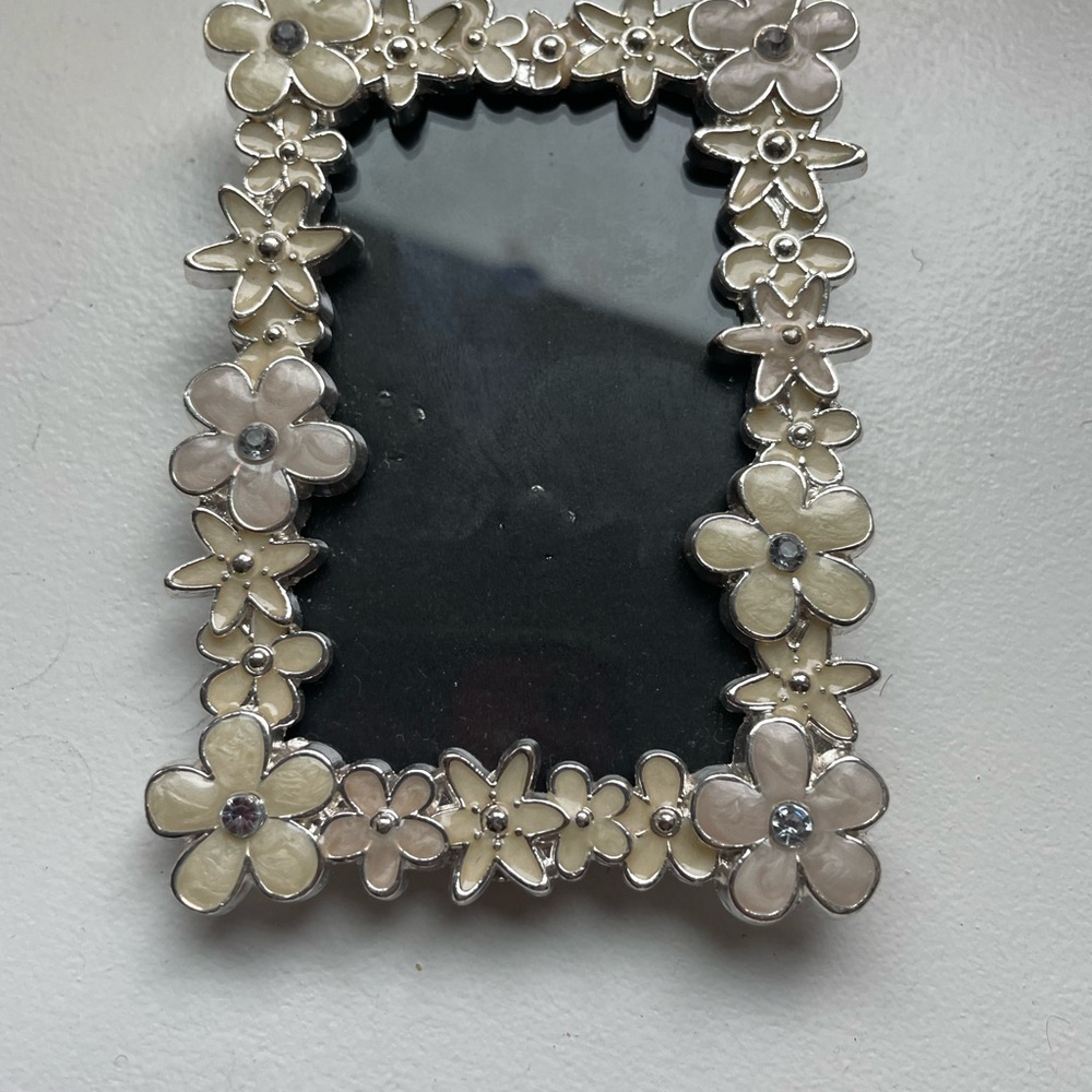 Floral Silver and Cream Decorative picture frame